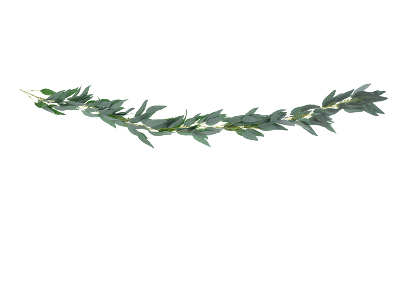 Weidenblätter-Girlande, 2 m