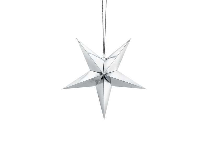 Papierstern, 30cm, silber