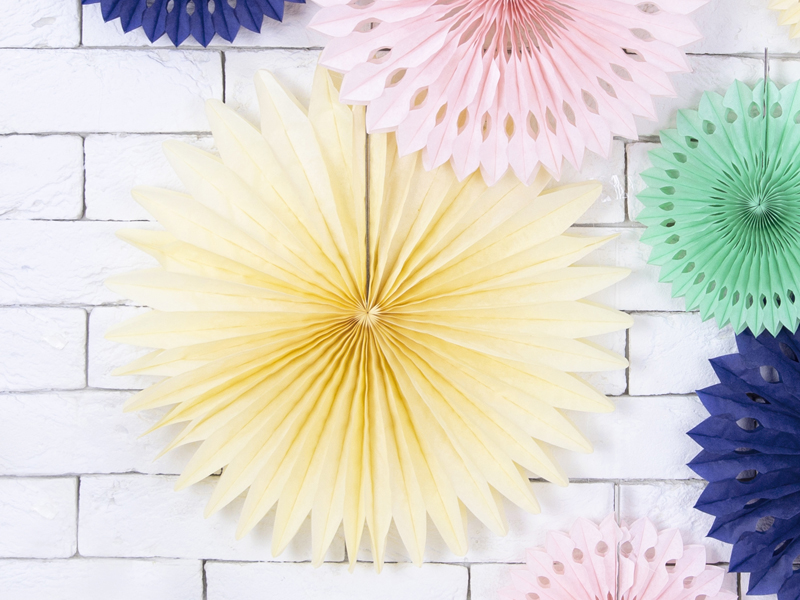 Fächer - Creme, 20 - 40cm, 3er Set